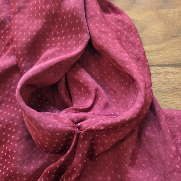 Anthropologie Burgundy Midi Dress - Picture 6 of 6